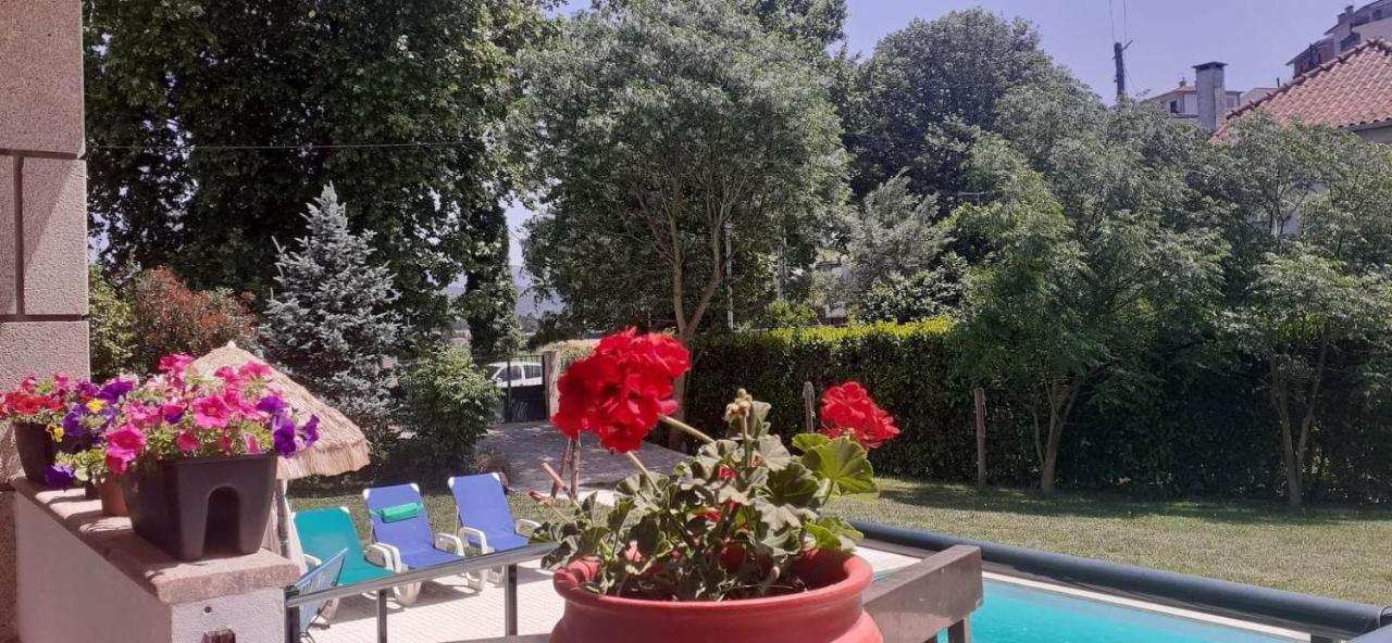 Villa Garden & Pool - Alojamentos Celorico De Basto Eksteriør billede