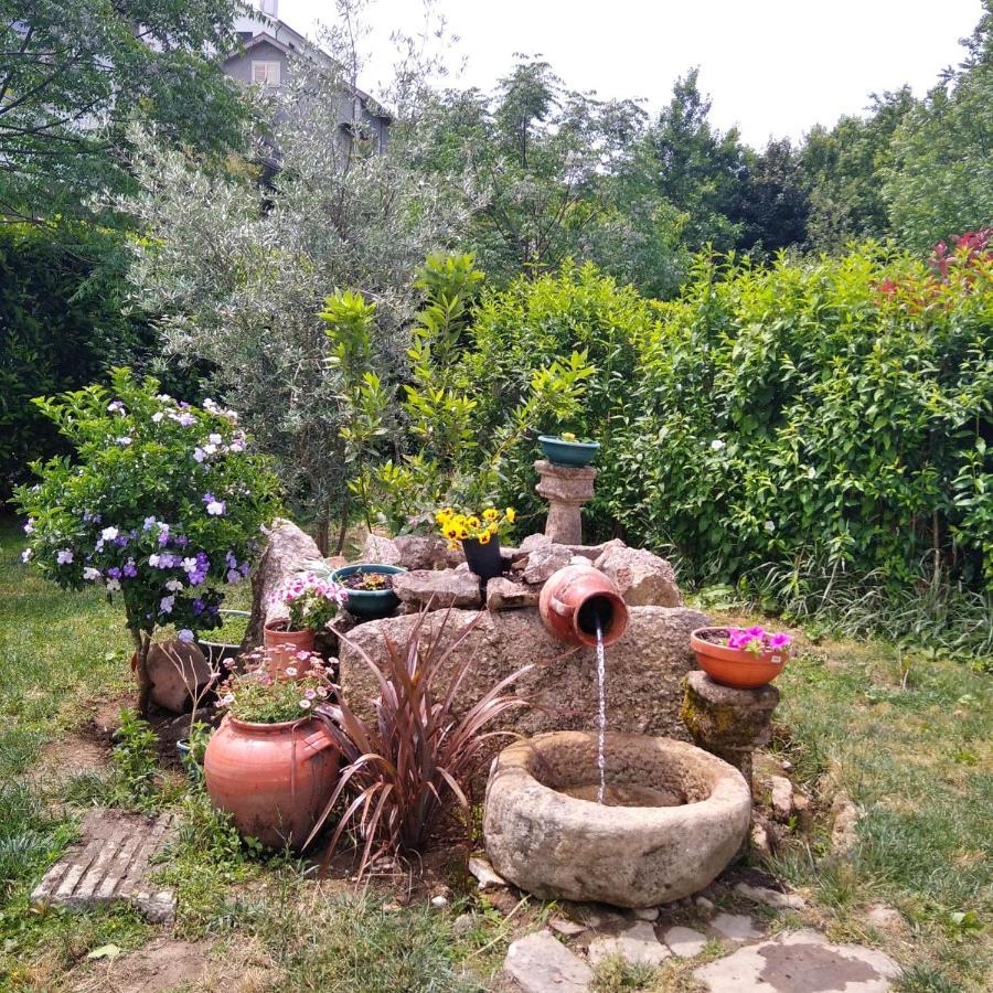 Villa Garden & Pool - Alojamentos Celorico De Basto Eksteriør billede